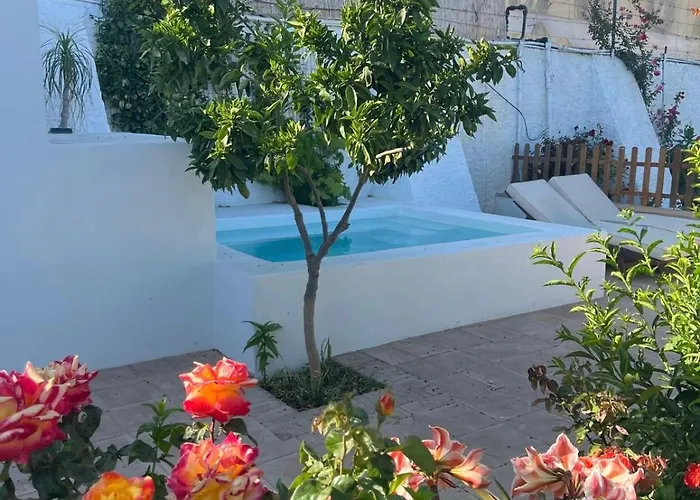 El Majuelo 2